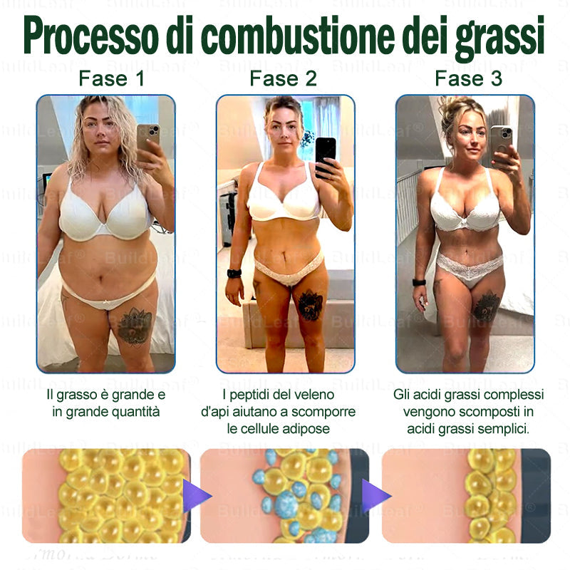 ✨ BuildLeaf® ha una sorpresa speciale per te! Hai già ricevuto un’offerta incredibile, ma adesso ne hai sbloccata una ancora migliore: 👉 50% di sconto sul tuo prossimo acquisto – solo per i prossimi due minuti!