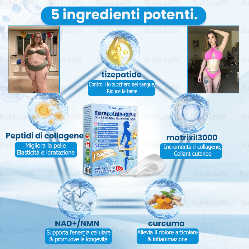 IT Clinicamente testato · Cerotto a microaghi nano BuildLeaf® Slim & Firm con Moringa, Omega-3, Peptidi di Collagene, NAD e NMN per obesità, salute cardiovascolare, diabete, apnea notturna, articolazioni, pelle e anti-età.