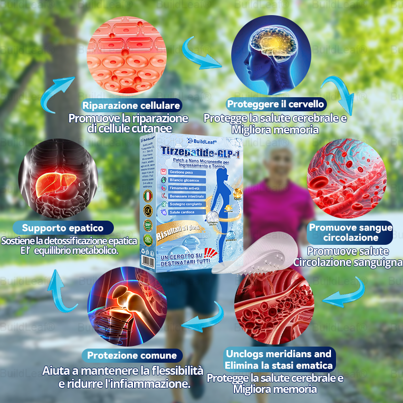 IT Clinicamente testato · Cerotto a microaghi nano BuildLeaf® Slim & Firm con Moringa, Omega-3, Peptidi di Collagene, NAD e NMN per obesità, salute cardiovascolare, diabete, apnea notturna, articolazioni, pelle e anti-età.
